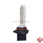 Ксеноновая лампа HB4 (9006) Premium AC (AMP)