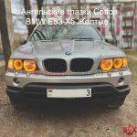 Ангельские глазки Cotton E53 X5 Желтые