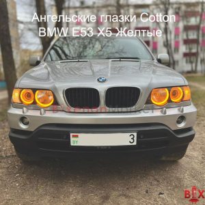 Ангельские глазки Cotton E53 X5 Желтые